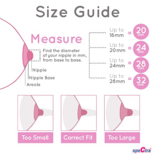 Single Breast Flange - Spectra